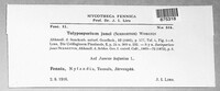Tolyposporium junci image